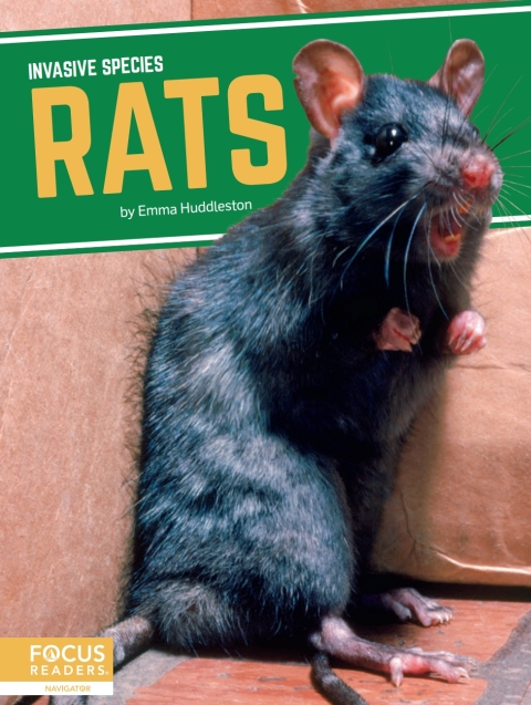 Cover image for book Rats