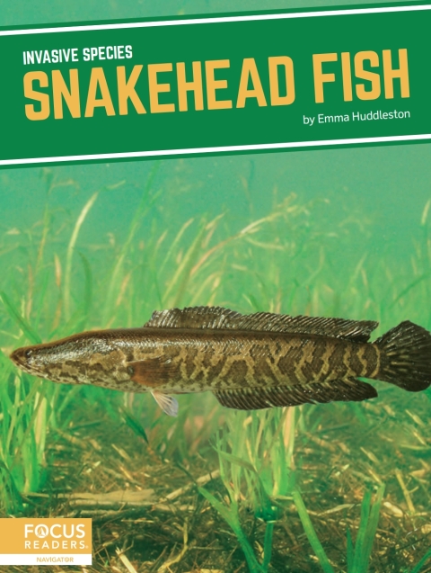 Cover image for book Snakehead Fish
