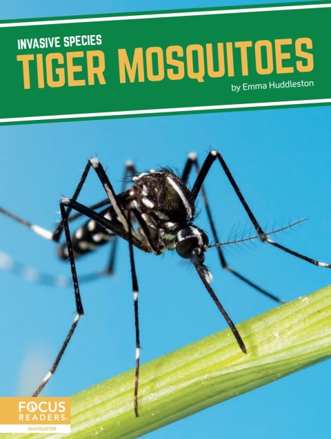 Cover image for book Tiger Mosquitoes