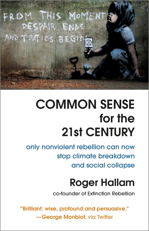 Cover image for book Common Sense for the 21st Century