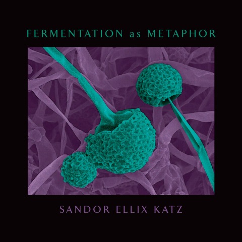 Cover image for book Fermentation as Metaphor