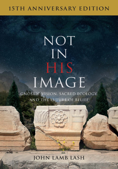 Cover image for book Not in His Image (15th Anniversary Edition)