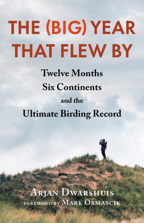 Cover image for book The (Big) Year that Flew By