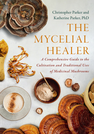 The Mycelial Healer