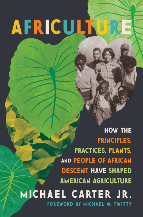 Cover image for book Africulture