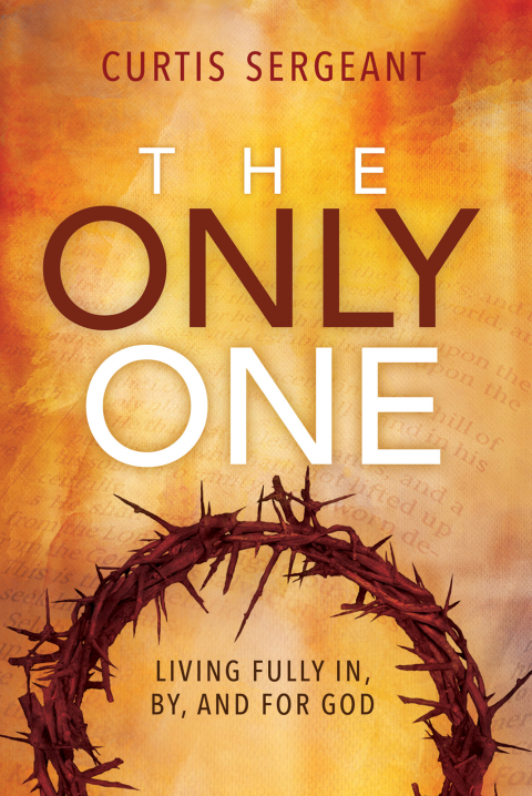 Cover image for book The Only One: