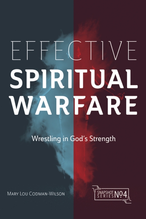 Cover image for book Effective Spiritual Warfare