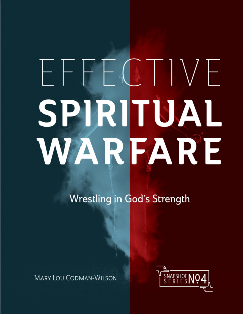 Cover image for book Effective Spiritual Warfare