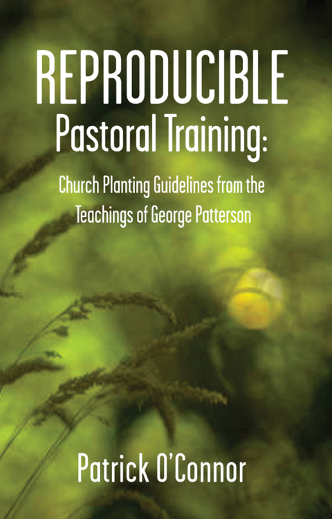 Cover image for book Reproducible Pastoral Training