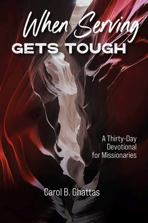 Cover image for book When Serving Gets Tough