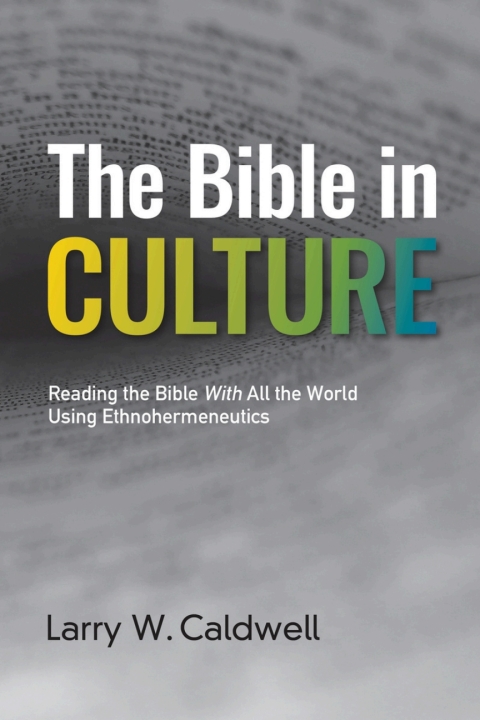 Cover image for book The Bible in Culture