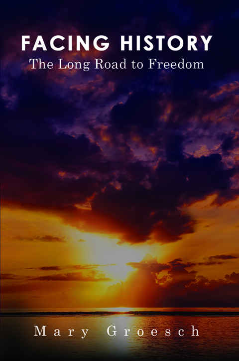 Cover image for book Facing History