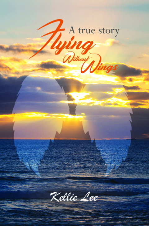 Cover image for book Flying Without Wings