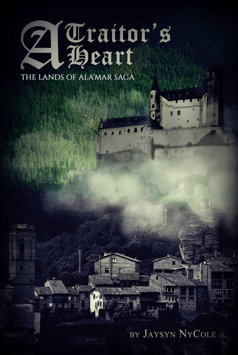 Cover image for book A Traitor’s Heart