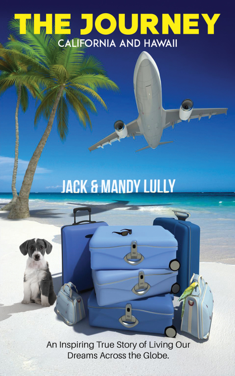 Cover image for book The Journey