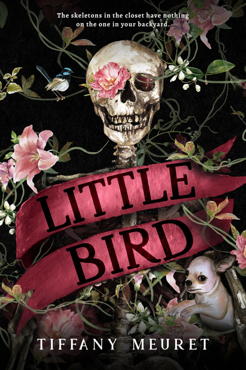 Cover image for book Little Bird