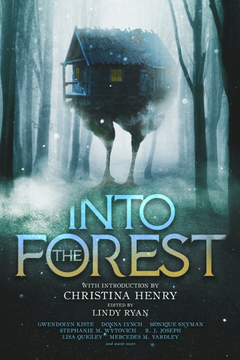 Cover image for book Into the Forest