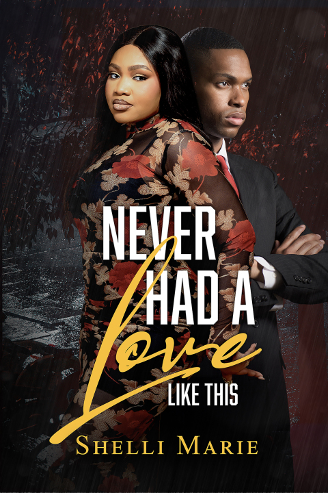 Cover image for book Never Had a Love like This