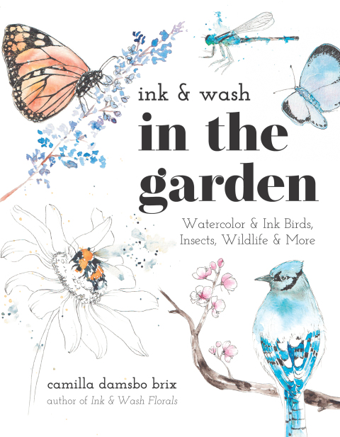 Cover image for book Ink & Wash in the Garden