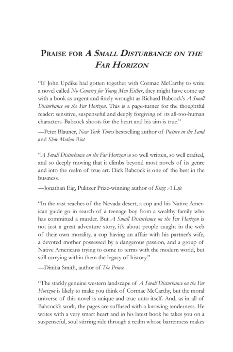 Cover image for book A Small Disturbance on the Far Horizon