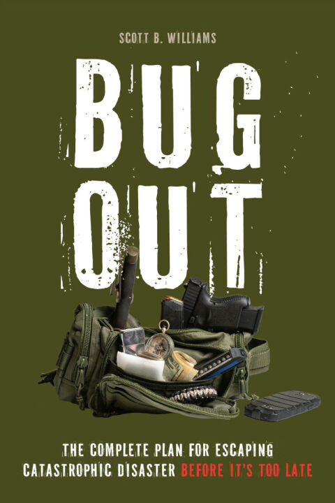 Cover image for book Bug Out