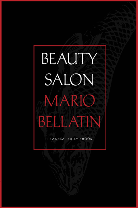 Cover image for book Beauty Salon