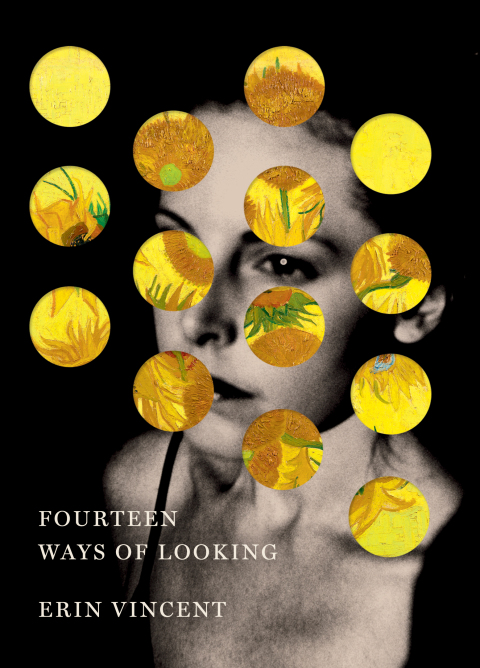 Cover image for book Fourteen Ways of Looking