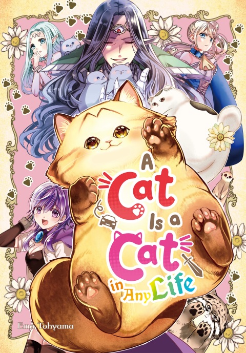 Cover image for book A Cat Is a Cat in Any Life