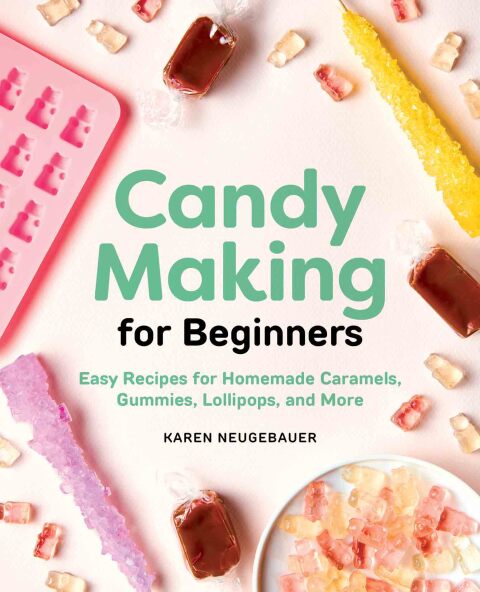 Cover image for book Candy Making for Beginners