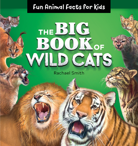 Cover image for book The Big Book of Wild Cats