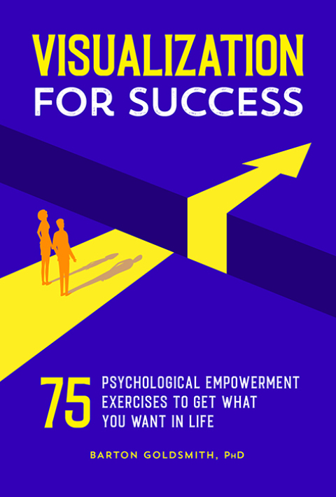 Cover image for book Visualization for Success