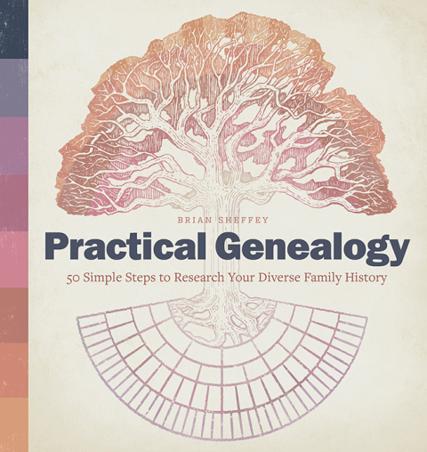 Cover image for book Practical Genealogy