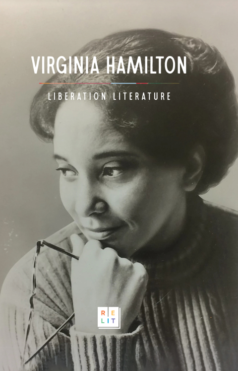 Cover image for book Liberation Literature