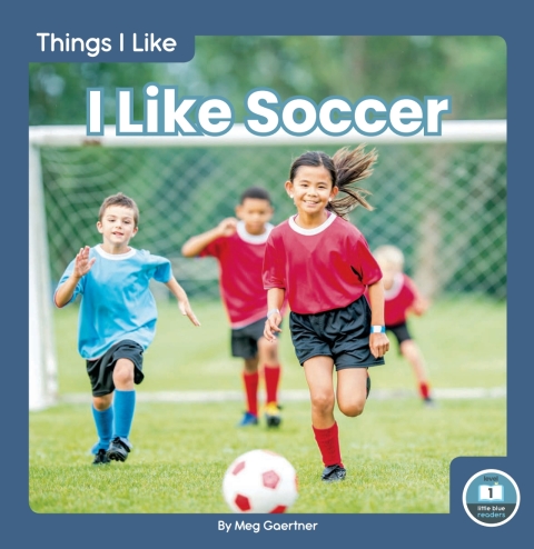 Cover image for book I Like Soccer