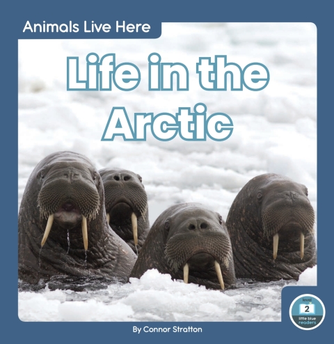 Cover image for book Life in the Arctic