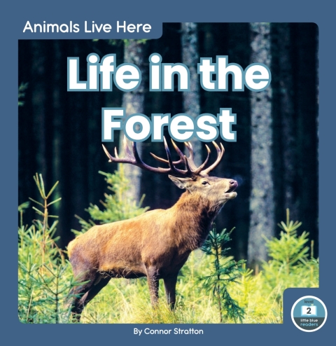 Cover image for book Life in the Forest
