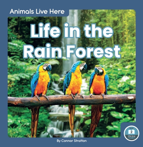 Cover image for book Life in the Rain Forest