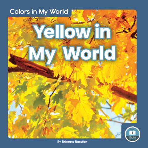 Cover image for book Yellow in My World