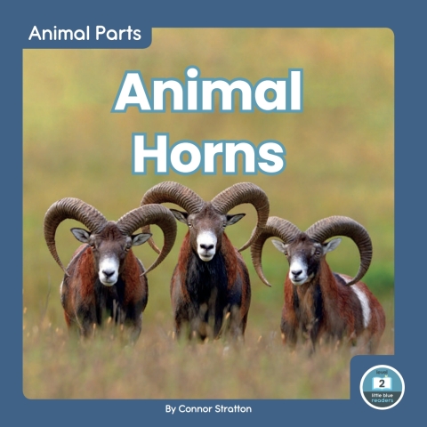 Cover image for book Animal Horns