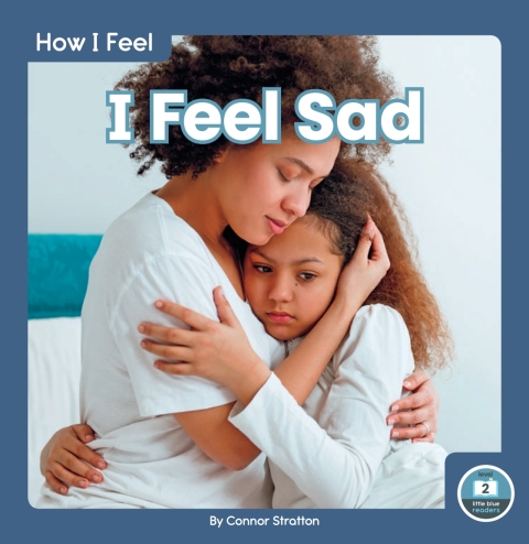 Cover image for book I Feel Sad