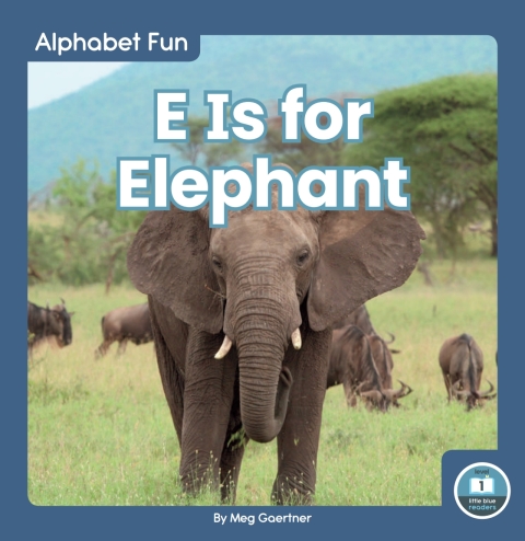 Cover image for book E Is for Elephant