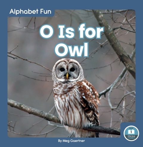 Cover image for book O Is for Owl