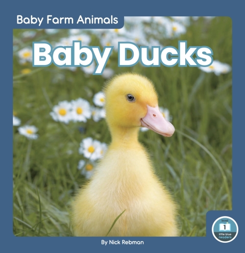 Cover image for book Baby Ducks