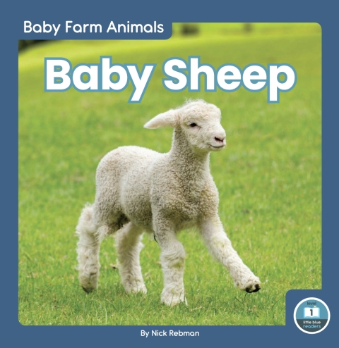 Cover image for book Baby Sheep