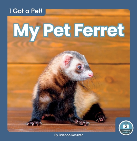 Cover image for book My Pet Ferret