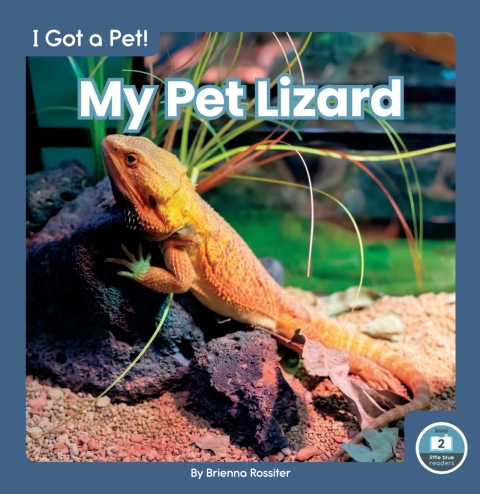 Cover image for book My Pet Lizard