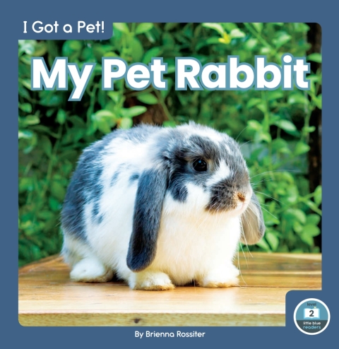Cover image for book My Pet Rabbit
