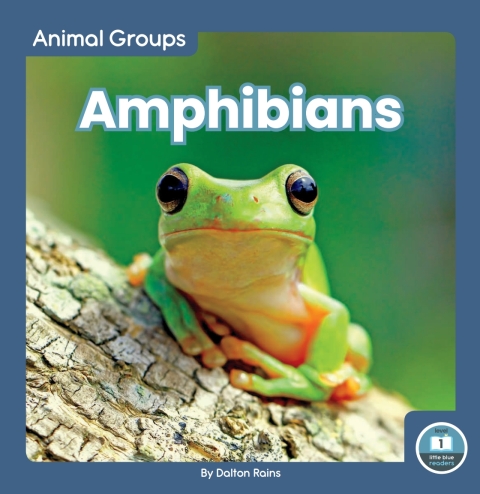 Cover image for book Amphibians