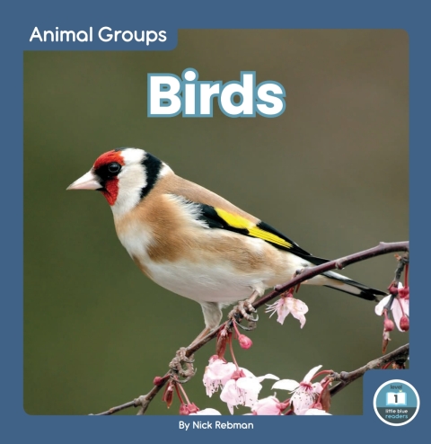 Cover image for book Birds