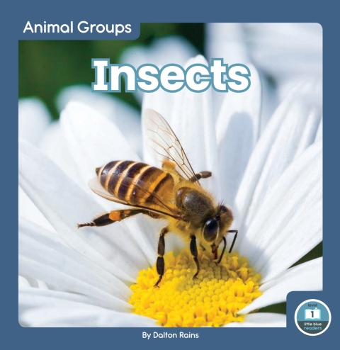 Cover image for book Insects